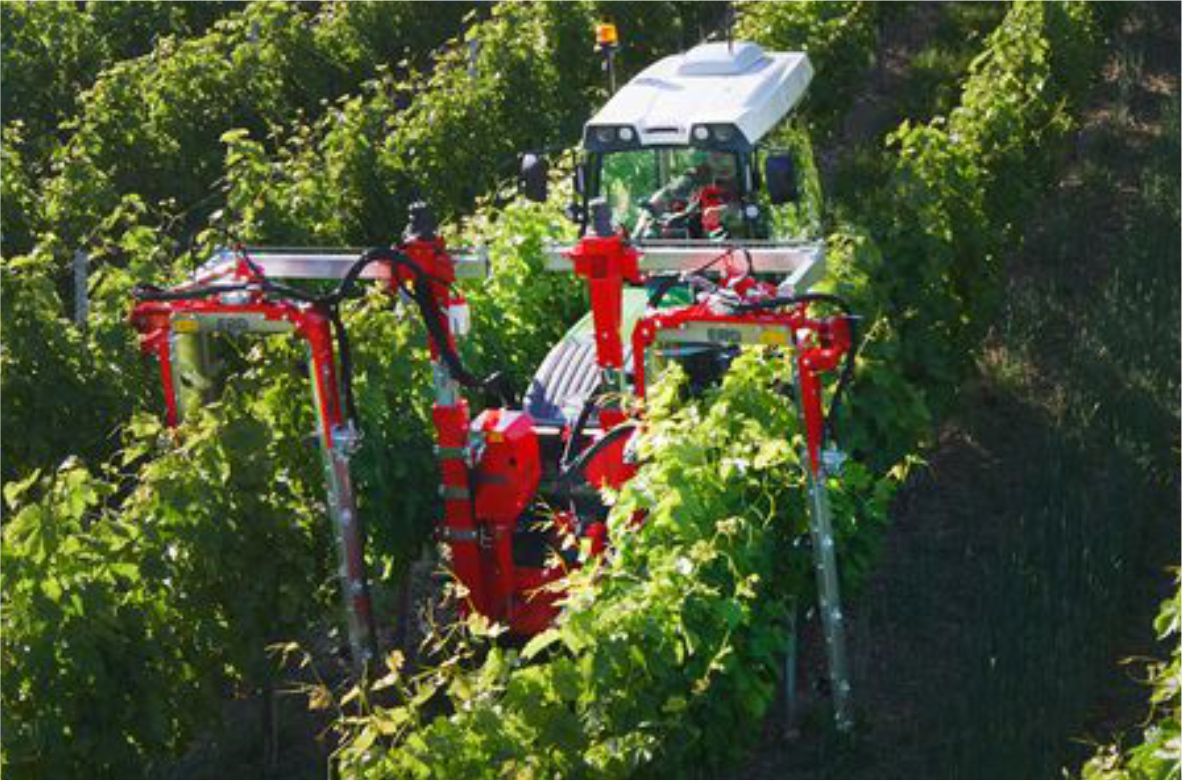 Masina za zelenu rezidbu vonograda - Profi Line 2