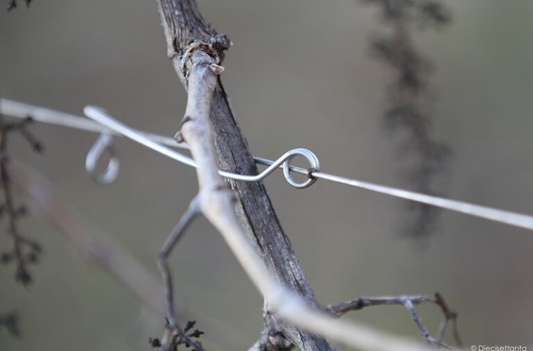 Vinogradarski stubovi, žice i propratna oprema SANGOI