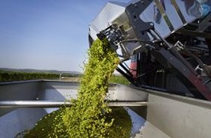 Kombajn za berbu grožđa ERO