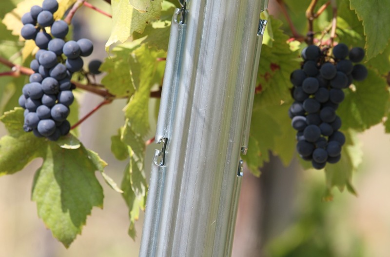 Vinogradarski stubovi i žice SANGOI