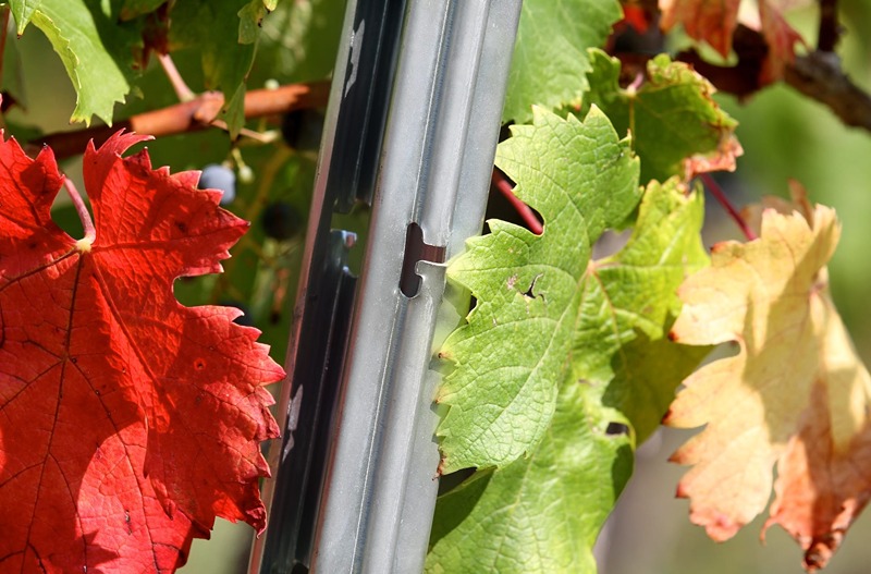 Vinogradarski stubovi i žice SANGOI