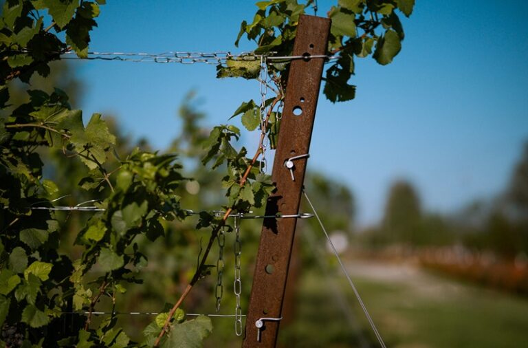 Vinogradarski stubovi, žice i propratna oprema SANGOI