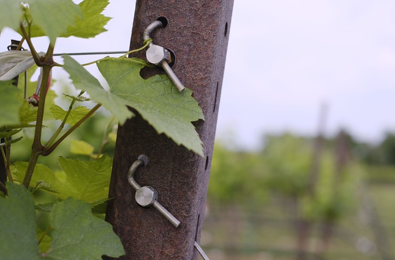 Vinogradarski stubovi i žice SANGOI