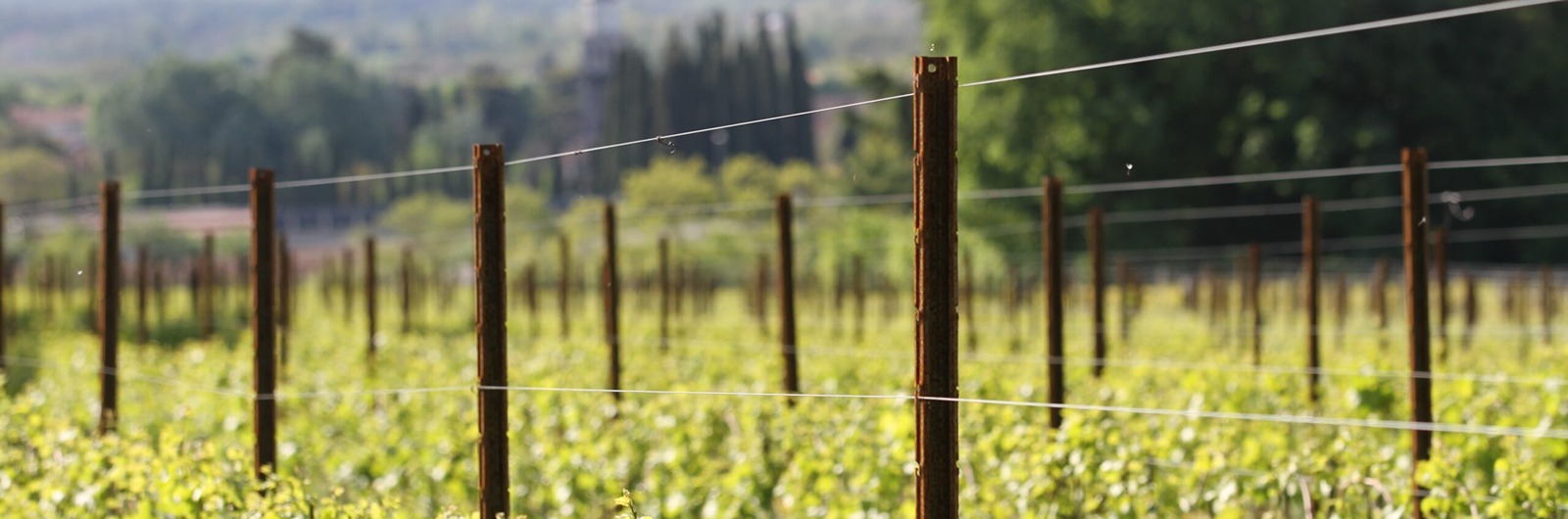 Vinogradarski stubovi i žice SANGOI