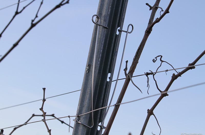 Vinogradarski stubovi i žice SANGOI