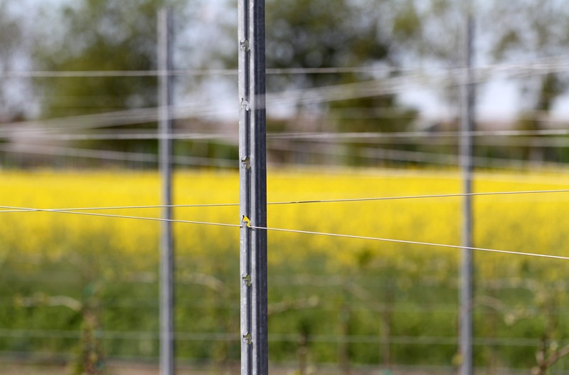 Vinogradarski stubovi i žice SANGOI