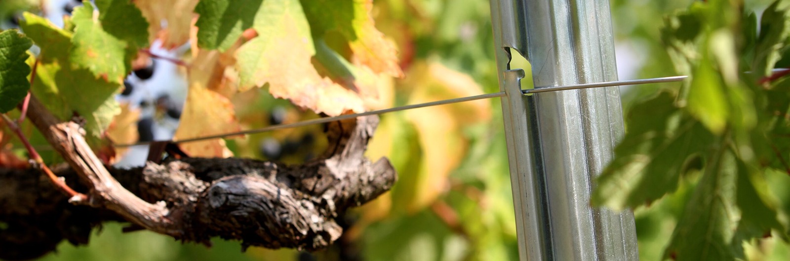 Vinogradarski stubovi i žice SANGOI