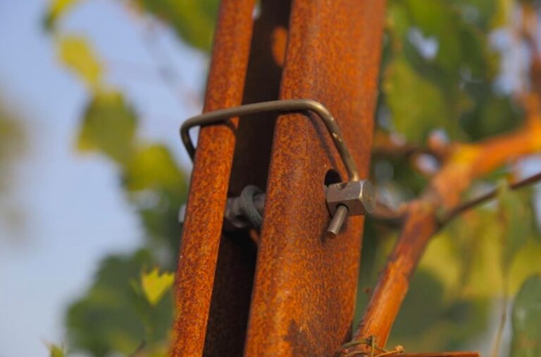 Vinogradarski stubovi, žice i propratna oprema SANGOI