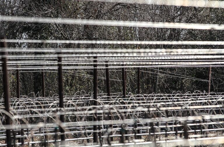 Vinogradarski stubovi, žice i propratna oprema SANGOI