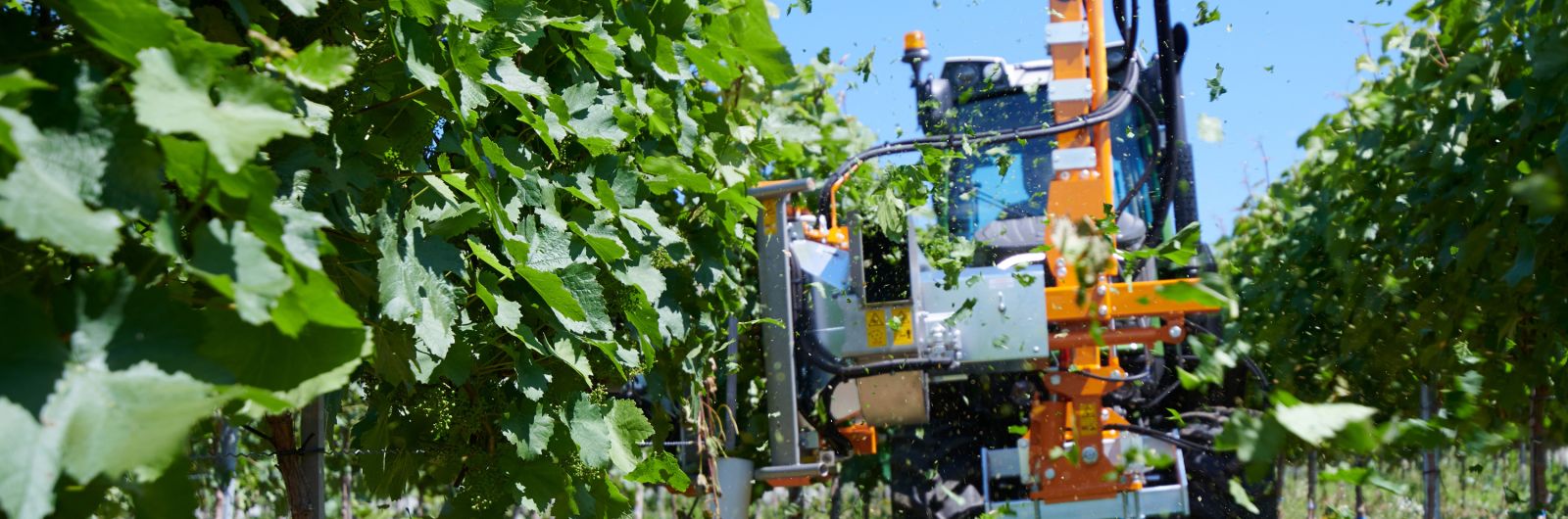 Mašina za defolijaciju sa valjcima BINGER