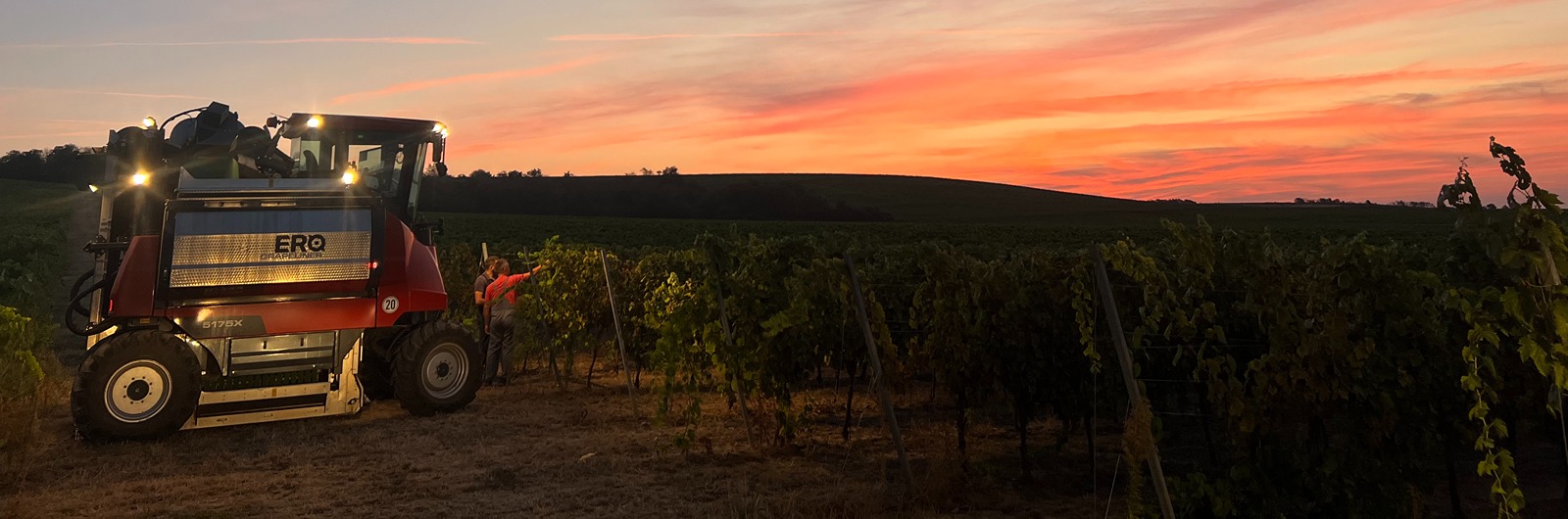 Kombajn za berbu grožđa ERO Grapeliner