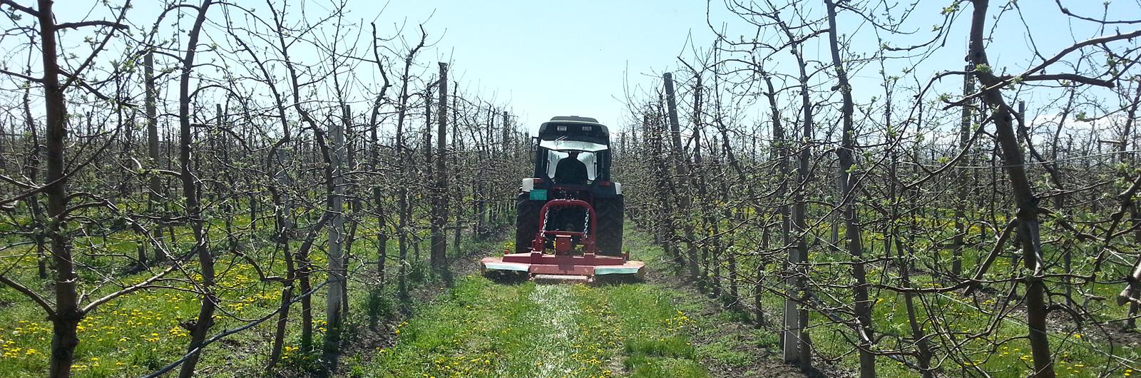 Vinogradarska i voćarska kosačica