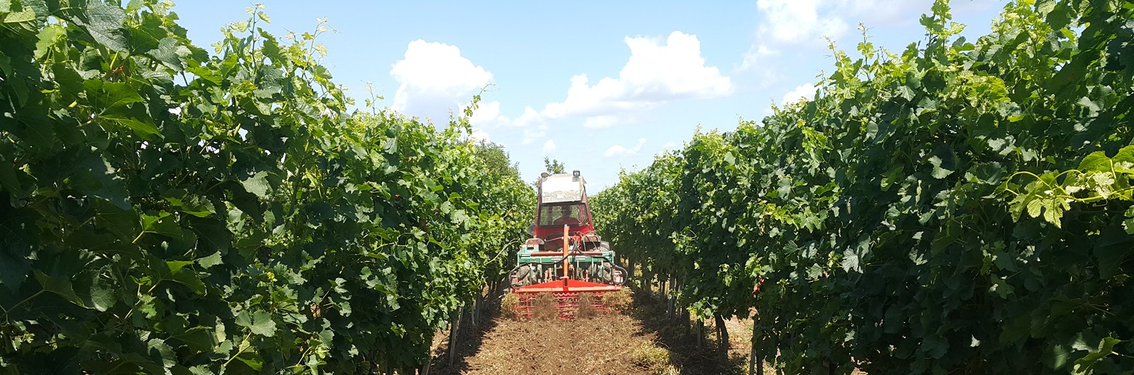 Clemens vinogradarska mašina za obradu međureda
