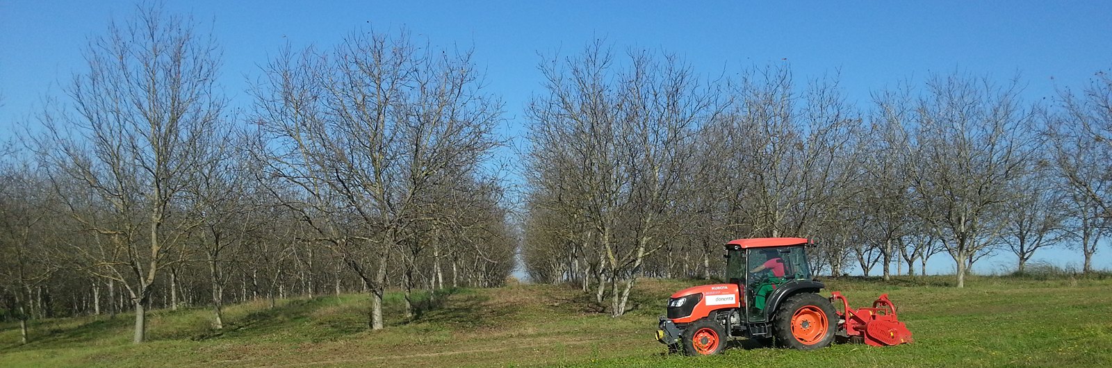 Humus mulčer za vinograde i voćnjake