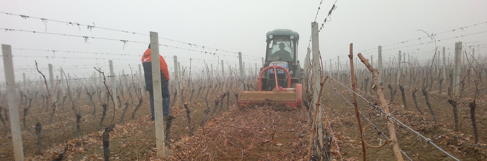 Vinogradarski i voćarski mulčer Humus