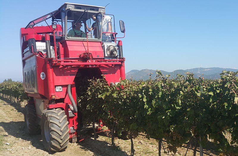 Kombajn za berbu grožđa ERO SF 190