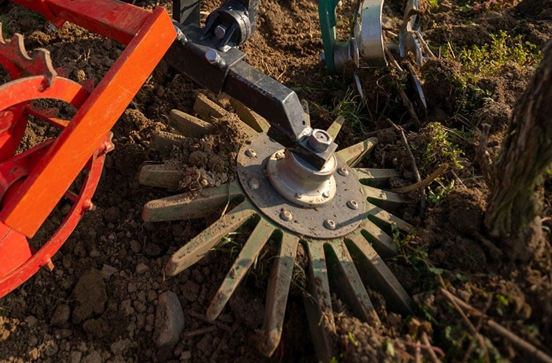 Clemens gumeni prsti