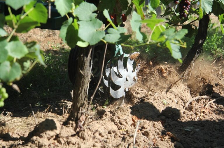Clemens rollhacke, za rednu obradu vinograda