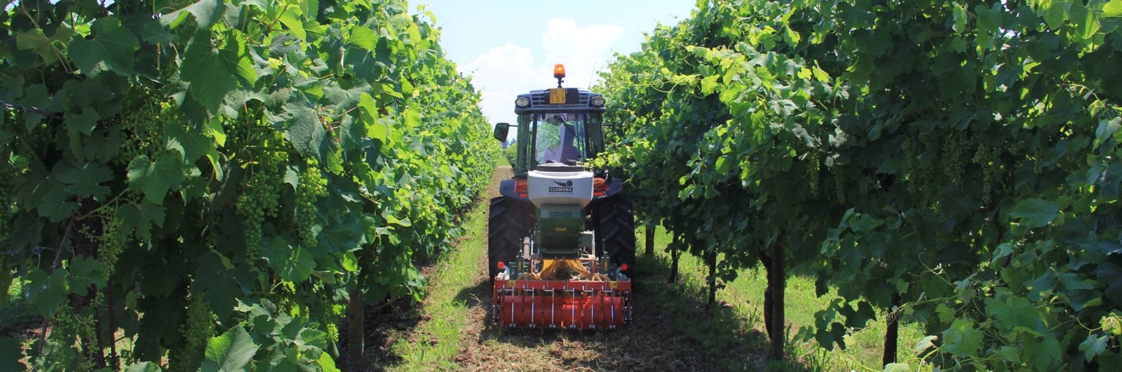 Vinogradarska sejalica za travu